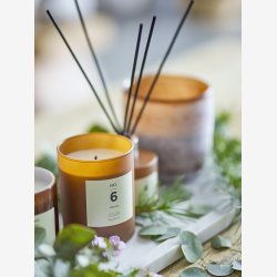 NO. 6 - Sequoia Duftlys, Brun, Naturlig Voks