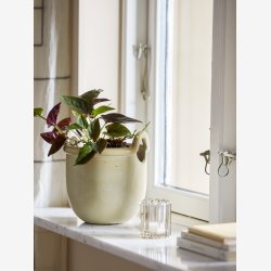 Janti Urtepotteskjuler, Natur, Stent�j