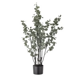 Eucalyptus Plante, Gr�n, Kunstige Blomster