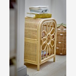 Anuke Skab, Natur, Rattan