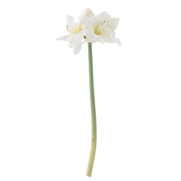 Amaryllis Stilk, Hvid, Kunstige Blomster