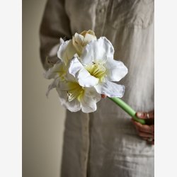 Amaryllis Stilk, Hvid, Kunstige Blomster