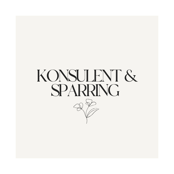 ⭐ Udvidet sparring � 2 timer