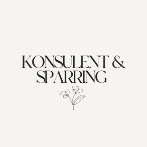 ⭐ Sparring � 1 time (online eller fysisk)