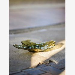 Aiku Sk�l, Gr�n, Glas