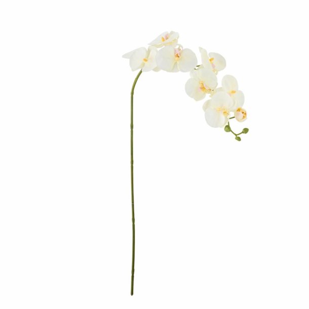 Orchid Stilk Hvid
