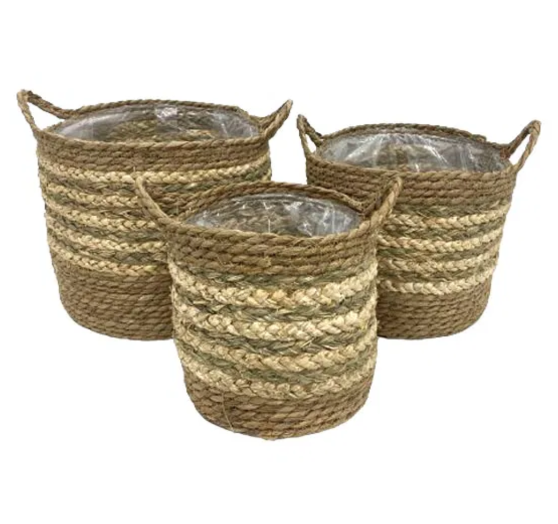 Kurvest af 3 stk. 