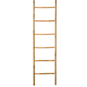 Dekostige bambus Forudbestilling Marts 2026