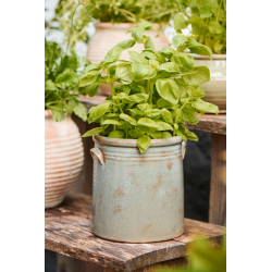 Skjuler m. gr� distressed