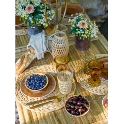 Ydun D�kkeserviet, Natur, Vandhyacint