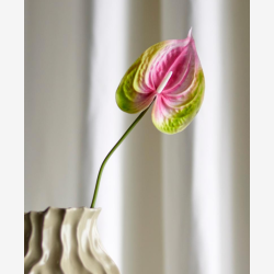 Flamingo Stilk, Pink, Kunstige Blomster