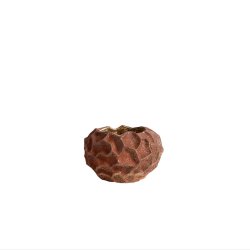 Soil Krukke Rust 