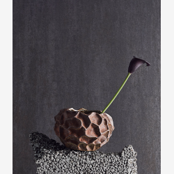 Soil Krukke Rust 
