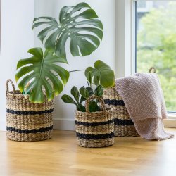 Nordis - Kurve i s�gr�s m. striber �30, �26, �20 - 3 stk